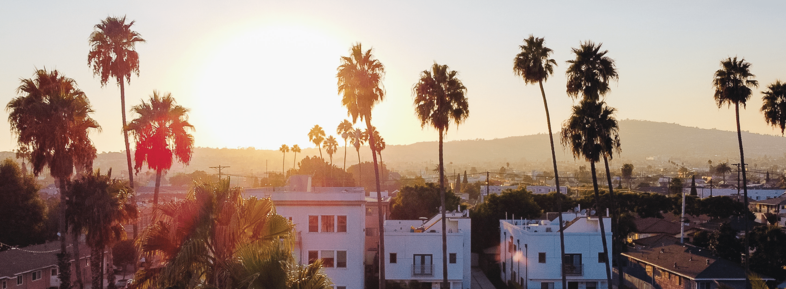 palm trees in front of real estate in Los Angeles with a sunset