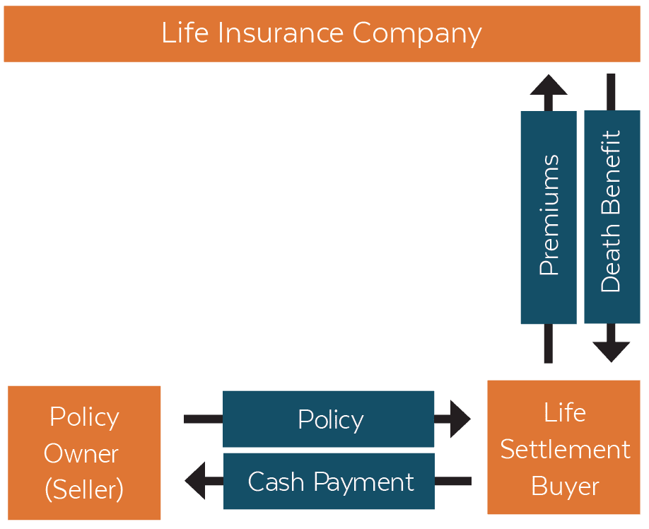 Chart of the Life Insurance Cycle